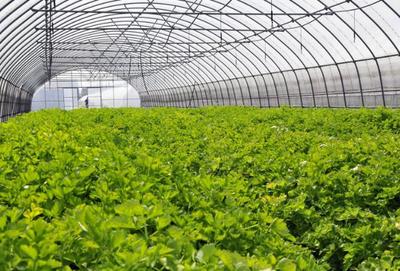 服務業哪些比較有前景:盤點最具潛力的十大服務行業