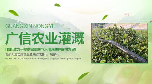 信陽市商城縣斜五孔微噴帶全國發(fā)貨直射在空中的水流就能形成類似