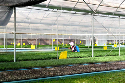 楚雄:經(jīng)濟(jì)發(fā)展提檔升級 團(tuán)結(jié)奮進(jìn)再譜新篇