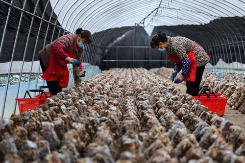 開足馬力 產業賦能 譙 見未來