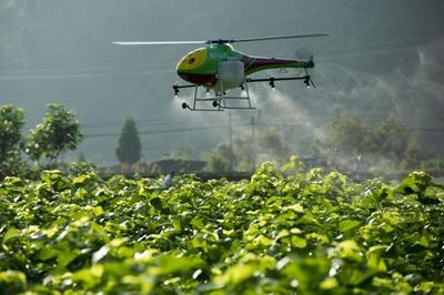 重磅|看京東、金少江、百果園、順豐如何淘金智慧農業