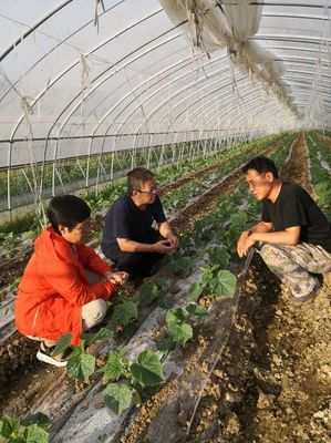 拔尖人才農(nóng)業(yè)服務(wù)團(tuán)精準(zhǔn)服務(wù)深度貧困村