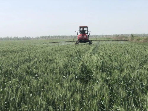 科技護(hù)航讓種田高效又安全