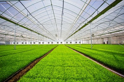 鹽城探路農業現代化 精耕細作&ldquo;希望的田野&rdquo;